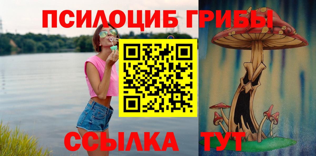Псилоцибиновые грибы мицелий Алексин