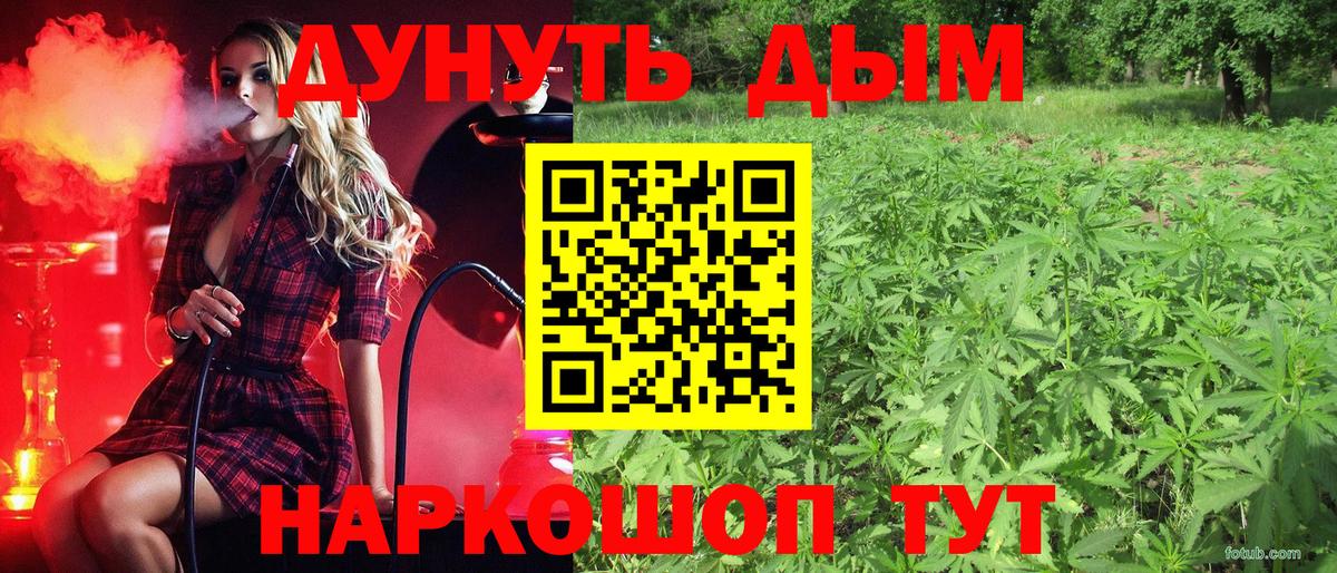 Шишки марихуана планчик  Вход с VPN  Конопля OG Kush  Алексин  Шишки марихуана White Widow 